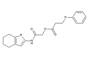 3-phenoxypropionic Acid [2-keto-2-(4,5,6,7-tetrahydrobenzothiophen-2-ylamino)ethyl] Ester