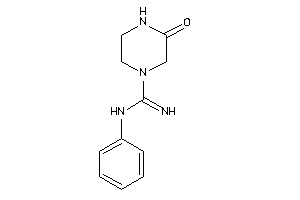 3-keto-N-phenyl-piperazine-1-carboxamidine