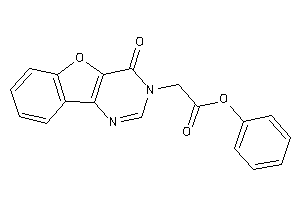 2-(4-ketobenzofuro[3,2-d]pyrimidin-3-yl)acetic Acid Phenyl Ester