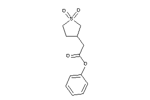 2-(1,1-diketothiolan-3-yl)acetic Acid Phenyl Ester