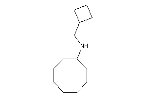 Cyclobutylmethyl(cyclooctyl)amine