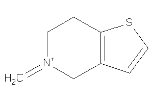 5-methylene-6,7-dihydro-4H-thieno[3,2-c]pyridin-5-ium