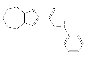 N'-phenyl-5,6,7,8-tetrahydro-4H-cyclohepta[b]thiophene-2-carbohydrazide