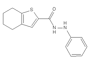 N'-phenyl-4,5,6,7-tetrahydrobenzothiophene-2-carbohydrazide