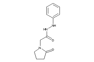 2-(2-ketopyrrolidino)-N'-phenyl-acetohydrazide