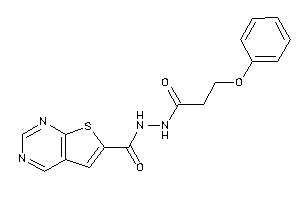 N'-(3-phenoxypropanoyl)thieno[2,3-d]pyrimidine-6-carbohydrazide