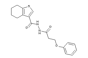 N'-(3-phenoxypropanoyl)-4,5,6,7-tetrahydrobenzothiophene-3-carbohydrazide