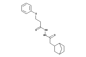 N'-[2-(2-norbornyl)acetyl]-3-phenoxy-propionohydrazide