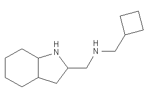 2,3,3a,4,5,6,7,7a-octahydro-1H-indol-2-ylmethyl(cyclobutylmethyl)amine