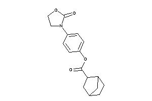 Norbornane-2-carboxylic Acid [4-(2-ketooxazolidin-3-yl)phenyl] Ester