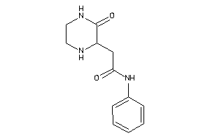 2-(3-ketopiperazin-2-yl)-N-phenyl-acetamide