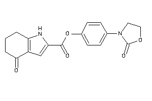 4-keto-1,5,6,7-tetrahydroindole-2-carboxylic Acid [4-(2-ketooxazolidin-3-yl)phenyl] Ester