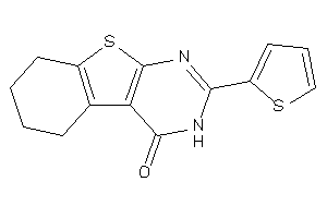 2-(2-thienyl)-5,6,7,8-tetrahydro-3H-benzothiopheno[2,3-d]pyrimidin-4-one