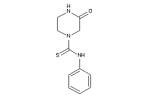 3-keto-N-phenyl-piperazine-1-carbothioamide