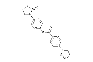 4-(2-pyrazolin-1-yl)benzoic Acid [4-(2-ketooxazolidin-3-yl)phenyl] Ester