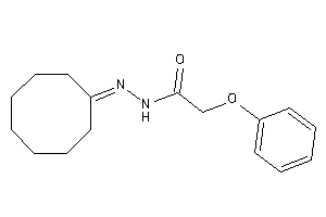 N-(cyclooctylideneamino)-2-phenoxy-acetamide