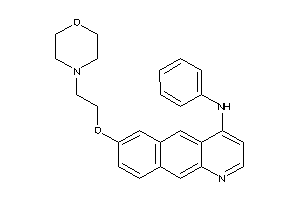 Image of [7-(2-morpholinoethoxy)benzo[g]quinolin-4-yl]-phenyl-amine