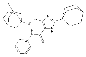 4-(1-adamantyloxymethyl)-2-(1-bicyclo[2.2.2]octanyl)-N-phenyl-1H-imidazole-5-carboxamide