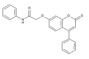 2-(2-keto-4-phenyl-chromen-7-yl)oxy-N-phenyl-acetamide