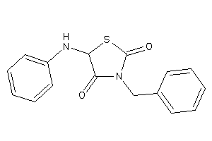 5-anilino-3-benzyl-thiazolidine-2,4-quinone