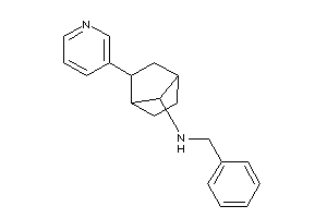 Benzyl-[2-(3-pyridyl)norbornan-7-yl]amine