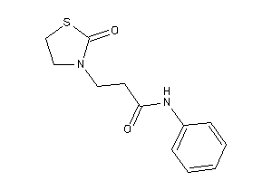 3-(2-ketothiazolidin-3-yl)-N-phenyl-propionamide