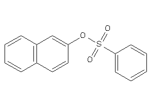 Benzenesulfonic Acid 2-naphthyl Ester