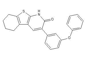 3-(3-phenoxyphenyl)-5,6,7,8-tetrahydro-1H-benzothiopheno[2,3-b]pyridin-2-one
