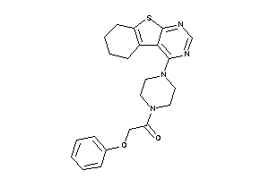 2-phenoxy-1-[4-(5,6,7,8-tetrahydrobenzothiopheno[2,3-d]pyrimidin-4-yl)piperazino]ethanone