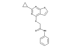 2-[(2-cyclopropylthieno[2,3-d]pyrimidin-4-yl)thio]-N-phenyl-acetamide