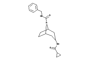 N-benzyl-3-(cyclopropanecarbonylamino)-8-azabicyclo[3.2.1]octane-8-carboxamide