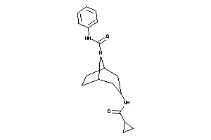 3-(cyclopropanecarbonylamino)-N-phenyl-8-azabicyclo[3.2.1]octane-8-carboxamide