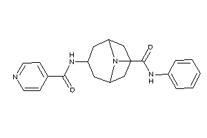 7-isonicotinamido-N-phenyl-9-azabicyclo[3.3.1]nonane-9-carboxamide