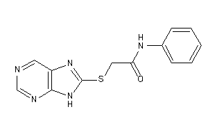 N-phenyl-2-(9H-purin-8-ylthio)acetamide