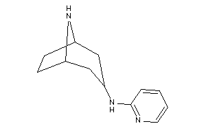 8-azabicyclo[3.2.1]octan-3-yl(2-pyridyl)amine