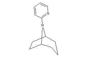 8-(2-pyridyl)-8-azabicyclo[3.2.1]octane