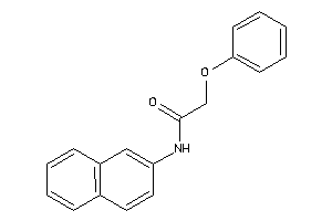 N-(2-naphthyl)-2-phenoxy-acetamide