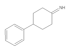 Image of (4-phenylcyclohexylidene)amine