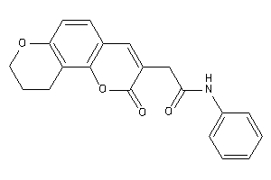 2-(2-keto-9,10-dihydro-8H-pyrano[2,3-f]chromen-3-yl)-N-phenyl-acetamide