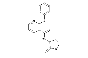 N-(2-ketotetrahydrothiophen-3-yl)-2-phenoxy-nicotinamide