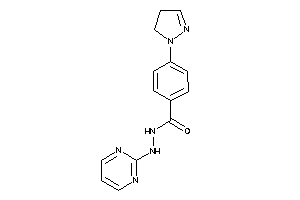 4-(2-pyrazolin-1-yl)-N'-(2-pyrimidyl)benzohydrazide