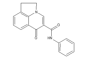 Keto-N-phenyl-BLAHcarboxamide