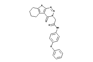 2-(4-keto-5,6,7,8-tetrahydrobenzothiopheno[2,3-d]triazin-3-yl)-N-(4-phenoxyphenyl)acetamide