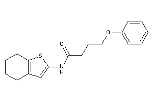 4-phenoxy-N-(4,5,6,7-tetrahydrobenzothiophen-2-yl)butyramide