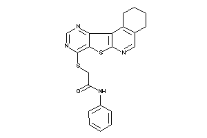 N-phenyl-2-(BLAHylthio)acetamide