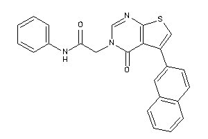 2-[4-keto-5-(2-naphthyl)thieno[2,3-d]pyrimidin-3-yl]-N-phenyl-acetamide