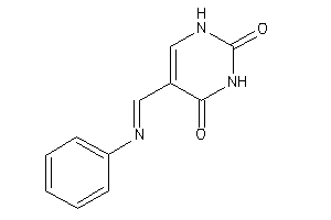 5-(phenyliminomethyl)uracil