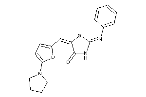 2-phenylimino-5-[(5-pyrrolidino-2-furyl)methylene]thiazolidin-4-one