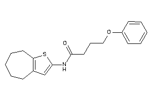 4-phenoxy-N-(5,6,7,8-tetrahydro-4H-cyclohepta[b]thiophen-2-yl)butyramide