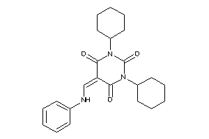 5-(anilinomethylene)-1,3-dicyclohexyl-barbituric Acid